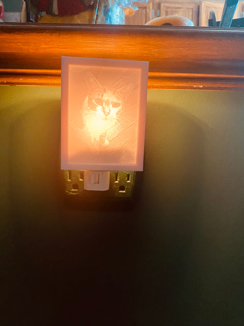 Customize Your Night Light Cover!